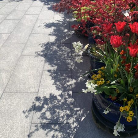 Photo 20-04-2020, 14 15 19
